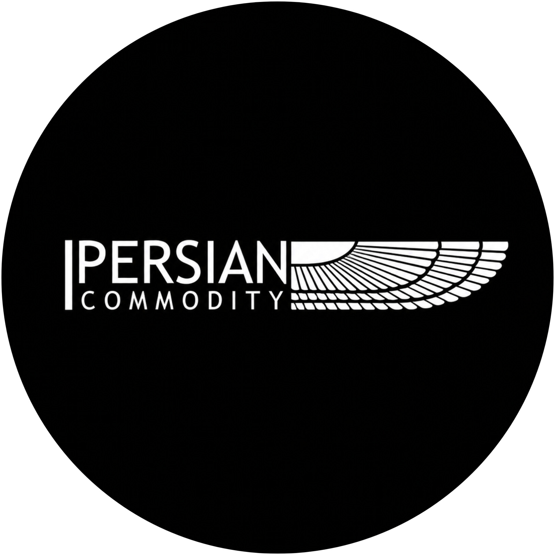 فروشگاه کفش و کتونی پرشین کامدتی 